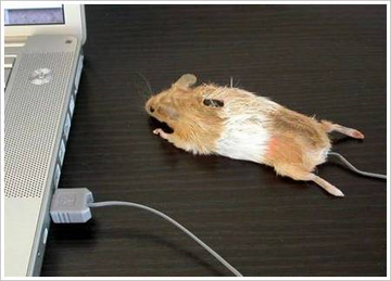 Bật ngửa với những loại chuột máy tính siêu bá đạo