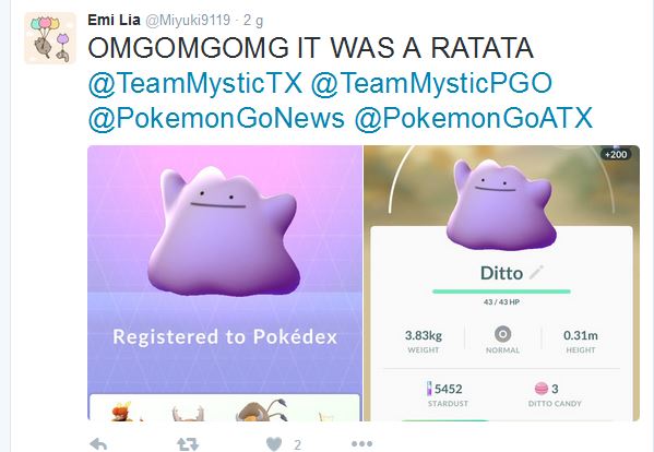 Pokemon GO – Bắt Zubat, Pidgey hay Rattata có cơ hội nhận được Ditto