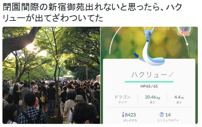 Hàng triệu game thủ Nhật Bản dính phốt lừa bởi tin đồn nhảm trong Pokemon GO