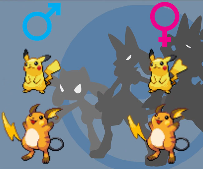 Bí mật phân biệt giới tính các Pokemon mà fan bự cũng chưa hề biết